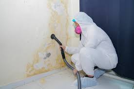 Trusted Maytown, PA Mold Remediation Experts